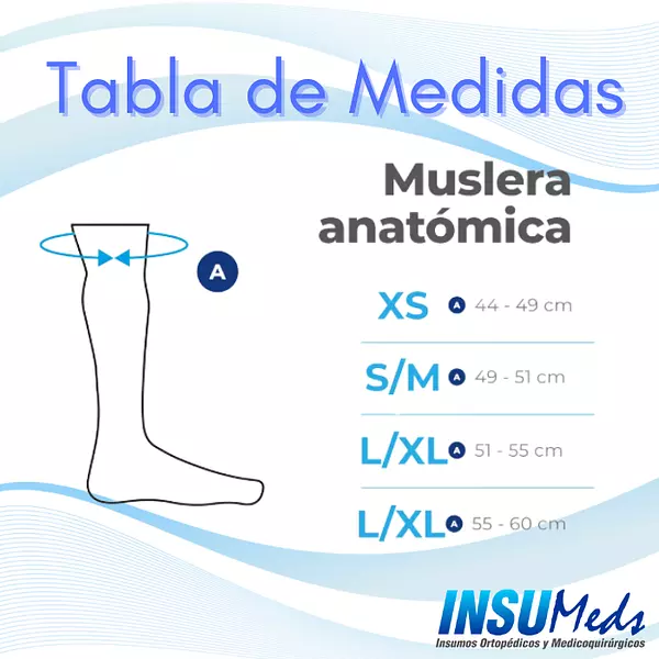 Muslera anatómica
