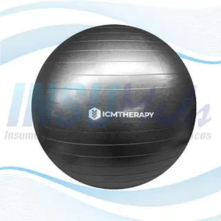 Gym Ball con Bomba 65 cm, ICMTHERAPY