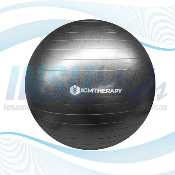 Gym Ball con Bomba 65 cm, ICMTHERAPY